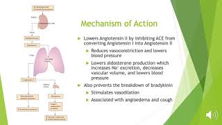 Ramipril For Hypertension [upl. by Skiest]