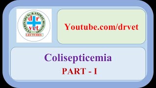 Colisepticemia Part 1 [upl. by Artenehs150]