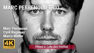 Marc Perrenoud Trio  Cully Jazz Festival [upl. by Aiem]