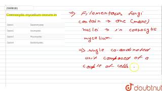 Coenocytic mycelium occurs in [upl. by Flita]