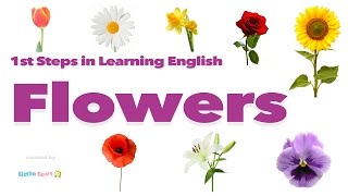 Pronounce FLOWERS in British English  Vocabulary with Pictures [upl. by Larianna]