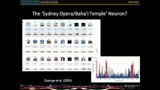 chapter 3 the electrophysiological brain 3rd edition [upl. by Ocnarf193]