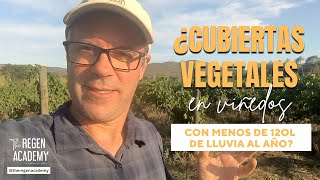 ¿Cubiertas vegetales en viñedos con menos de 120L de lluvia al año [upl. by Hellene168]