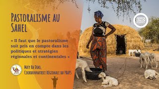 Il est temps d’intégrer le pastoralisme dans les stratégies politiques au Sahel [upl. by Ebocaj]