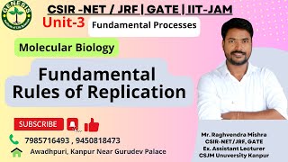 Fundamental Rules of Replication  DNA Helicase SSB Proteins Primase  Molecular Biology  L3 [upl. by Noerb]