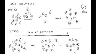 Gimnospermas vs angiospermas [upl. by Jaclyn]