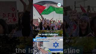 Harvard Sees 14 Drop in Donations Amid IsraelPalestine Protest Controversy [upl. by Ahsinelg41]