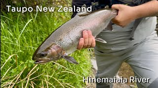 Hinemaiaia River Fly fishing Part 2 [upl. by Hebe493]