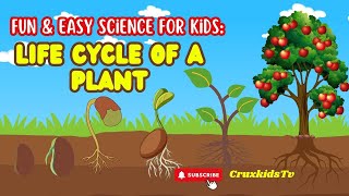 Life Cycle of A Plant Fun and Easy Science for Kids [upl. by Ariana]