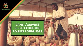 Burkina Faso  Dans l’univers d’une étoile des poules pondeuses [upl. by Ennahgiel498]