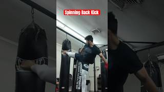 Working on the spinning back kick combatsport mma kickboxing explorepage ytshorts ufc [upl. by Kifar482]