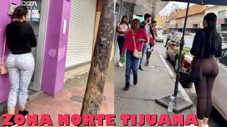 Exploring The Captivating Corners Of Tijuana Zona Norte PT2 [upl. by Selmner423]