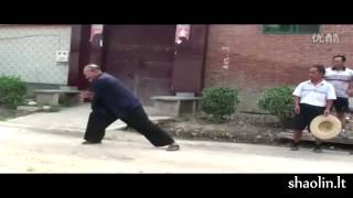 Xu Wu Dao 徐武道 Shaolin nan yuan pao quan 少林南院炮拳 [upl. by Neiman]