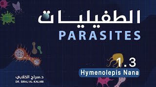 التحليلات \ المادة الوزارية  الطفيليات  \ المحاضرة الثانية 2024 \ Hymenolepis nana \ الجزء الاول [upl. by Tj]