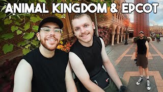 Animal Kingdom amp EPCOT Vlog  WDW 24  Satuli Canteen Feathered Friends In Flight Via Napoli [upl. by Francis574]