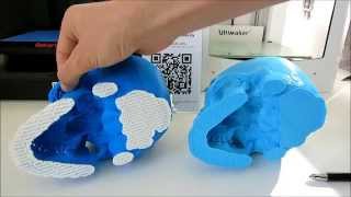 3DDruckverleich Teil 2 Replicator 5th generation vs Ultimaker 2 [upl. by Leik236]