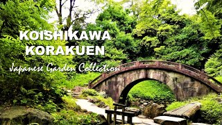 10 Highlights National Special Historic Site Japanese Garden in Tokyo  KOISHIKAWA KORAKUEN [upl. by Elokcin]