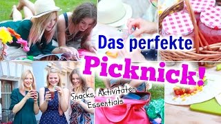 DAS PERFEKTE PICKNICK Snacks Beauty Essentials  Aktivitäten im Sommer ♡ BarbieLovesLipsticks [upl. by Zoller]