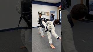 Tang Soo Do Kicking [upl. by Aissyla]