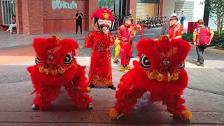 Lion Dance with Choy San Yeh went to Electrical Shop [upl. by Dami]