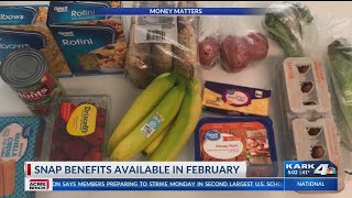 SNAP Benefits Available in February [upl. by Affay]