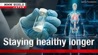 Healthy aging research progresses in leaps and boundsーNHK WORLDJAPAN NEWS [upl. by Einaled]