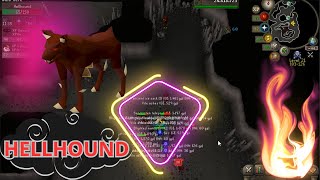 HELLDOUND DONDE Y COMO MATARLOS WILDERNESS OSRS [upl. by Dincolo611]