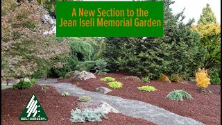 Tour Our New Conifer Garden [upl. by Hein265]