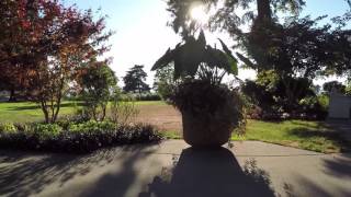 Tai Chi at Legion Memorial Park [upl. by Suvart803]