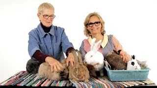 Which Rabbit Breed Is Best  Pet Rabbits [upl. by Yeldua]