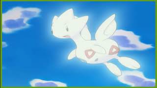 Topegi de Misty evoluciona en Togetic  Pokemon Reto Máximo [upl. by Holtz]