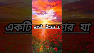 হিদায়েত। ধৈর্য। উপহার। Allah mohan kahealthandislam shortsfeed viralvideo ytshorts [upl. by Aivlys738]