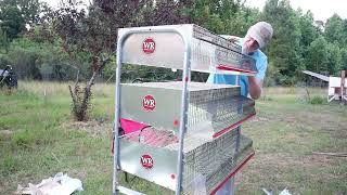 HOW TO SETUP QUAIL CAGES FROM WYNOLA RANCH [upl. by Aharon]