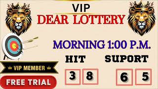 First Prize Last Digit 291124 Nagaland State Lottery Target Number Lottery Sambad Target Number [upl. by Reyem]