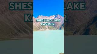 SHESHNAG LAKEtrekkingadventures explorealpinemeadows himalayanmountainsalpinelake alpinevalley [upl. by Pedaiah25]