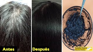 Despídete De Las Canas Con Esta Mezcla  Eliminar Las Canas Y Se Recupera Tu Pelo Negro [upl. by Rutter155]