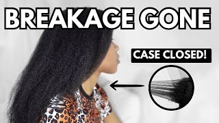 How to STOP BREAKAGE  Solutions  Understanding Breakage vs Shedding  Natural Hair [upl. by Ylrebmyk]