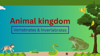 Classification of Vertebrates amp Invertebrates  Animal kingdom  Grade 7 [upl. by Stinson]