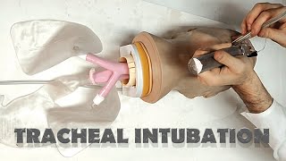 Tracheal tube placement  INTUBATION [upl. by Shawna]