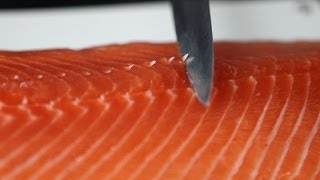 Lachs filetieren  Bei den Fischexperten von Deutsche See sitzt jeder Schnitt [upl. by Inotna]