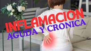 INFLAMACION AGUDA Y CRONICA APRENDE SOBRE ELLAS [upl. by Eelirak]