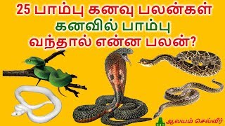 கனவில் பாம்பு வந்தால் என்ன பலன்  25 பாம்பு கனவு பலன்கள்  Pambu Kanavu Palan [upl. by Ellezaj]