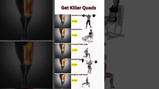 5 Best Quad Exercises Matrix [upl. by Berthe619]