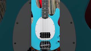 Sterling Ray 2 Intro Series StingRay bass sterlingbymusicman shorts [upl. by Klemperer471]