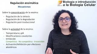 43 Biología celular Regulación de la actividad enzimática [upl. by Serles825]