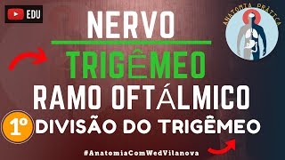 Nervo Trigêmeo RAMO OFTÁLMICO❗ Quais São❗❓ Descubra Aqui Anatomia Prática [upl. by Narod899]