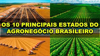 Os 10 principais estados do Agronegócio Brasileiro [upl. by Ilesara]