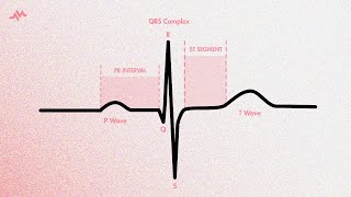 The Cardiac Cycle on an EKG PQRST Waves [upl. by Neukam]