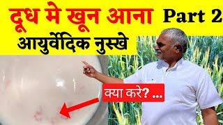 How to treat blood in cows milk  Ayurvedic Solution part 2 [upl. by Artinak778]