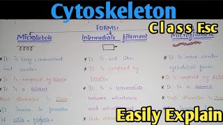 Cytoskeleton And Its Types  Microtubules  Class 11 Biology [upl. by Gawain]